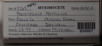 Image Associated With the Occurence